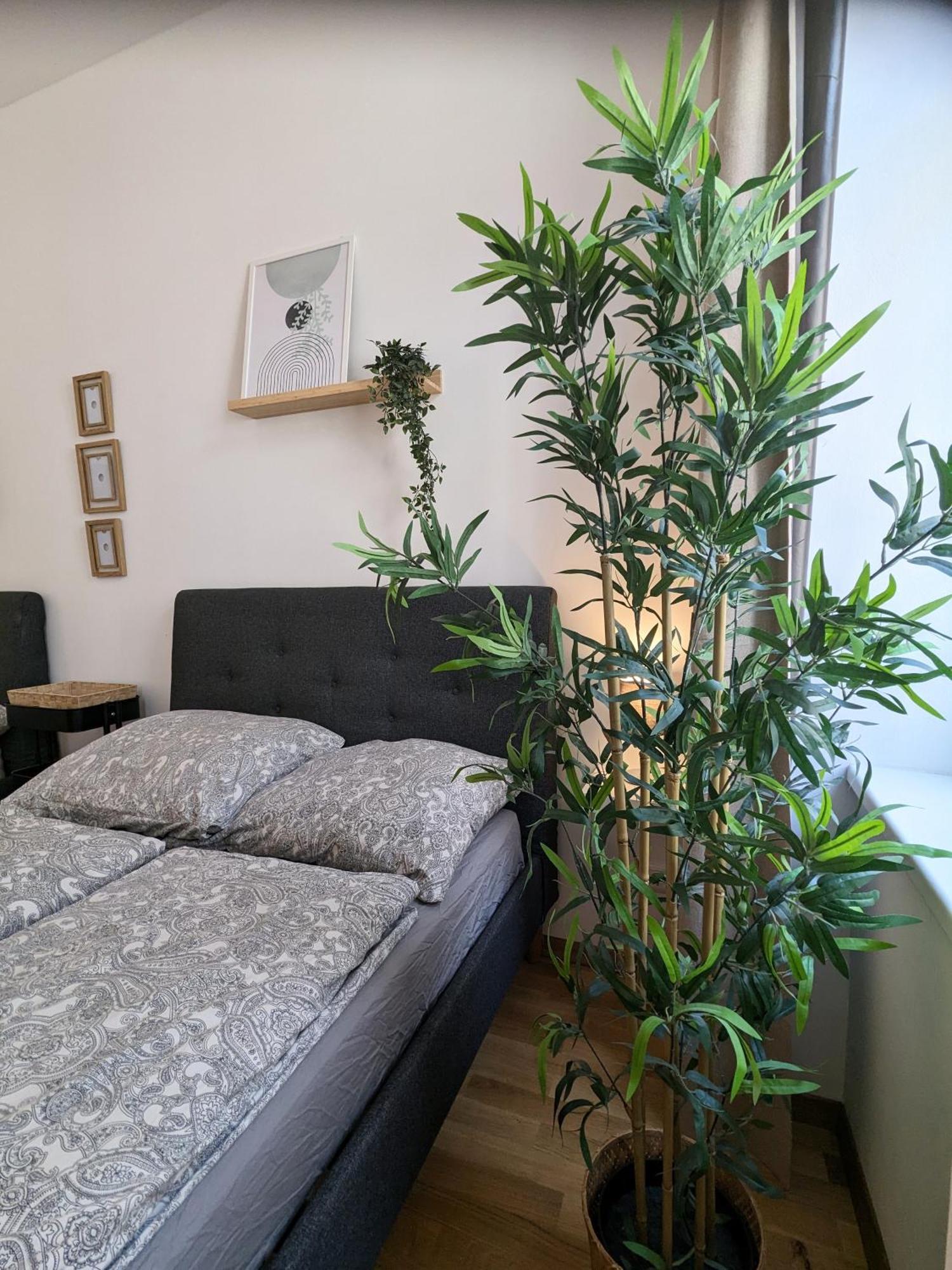 Renovated Studio - 10 Min To Center Вена Экстерьер фото
